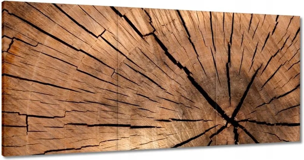 Festmények 120x60 Befőttesüvegek