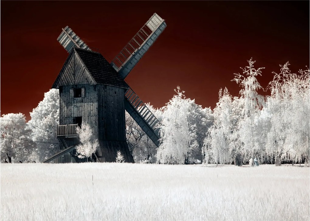 A malom képe (üvegen) (70x50 cm)