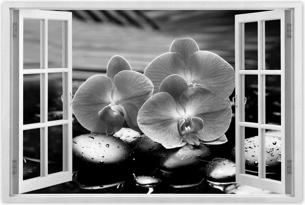 Poszterek 60x40 Orchideák a köveken