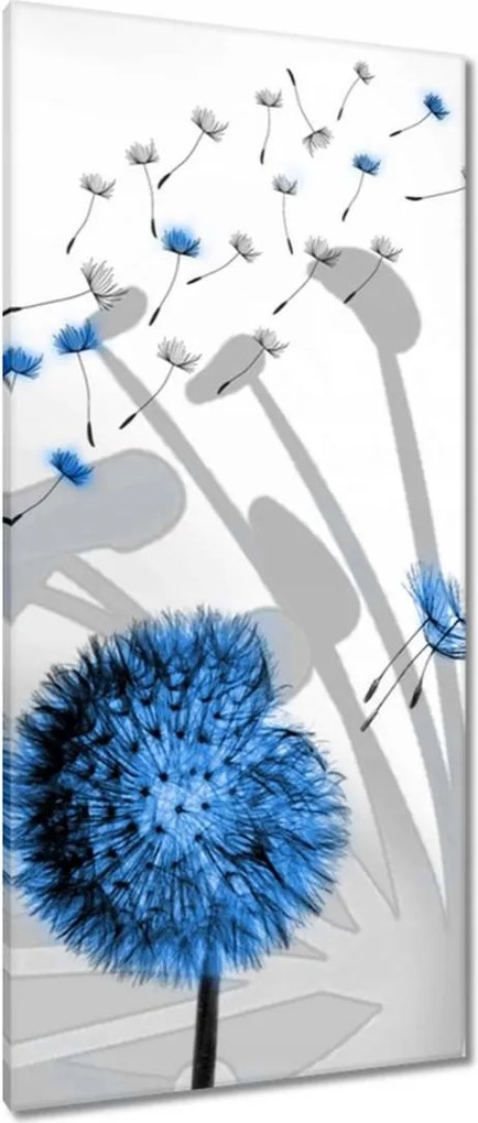 Vászonkép 55x115 Kék pitypangok