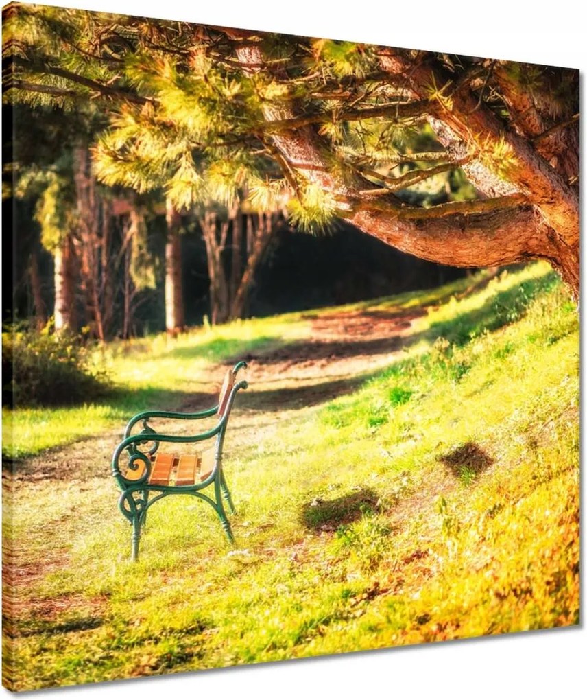 Vászonkép 50x50 Tájkép Látvány