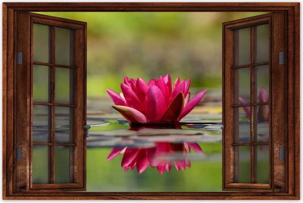 Poszterek 120x80 Vízi liliom