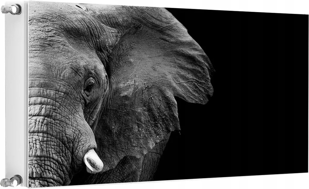 Mágneses Radiátorszőnyeg 100x60 Elefánt Fotótapéta