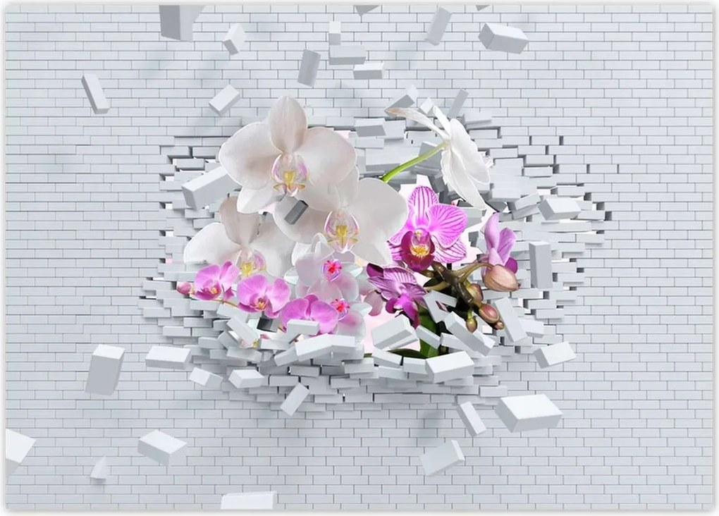 Poszterek 70x50 Orchidea a falban