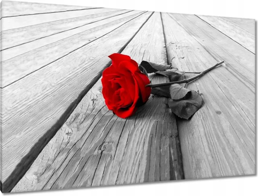 Vászonkép 120x80 Rózsa ajándék Valentin napra