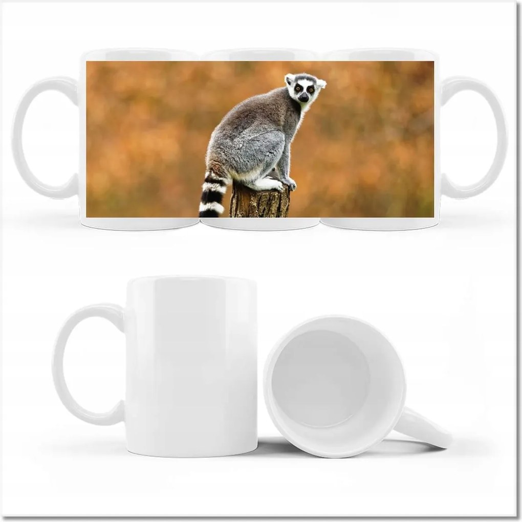 Fotó bögre Állatok