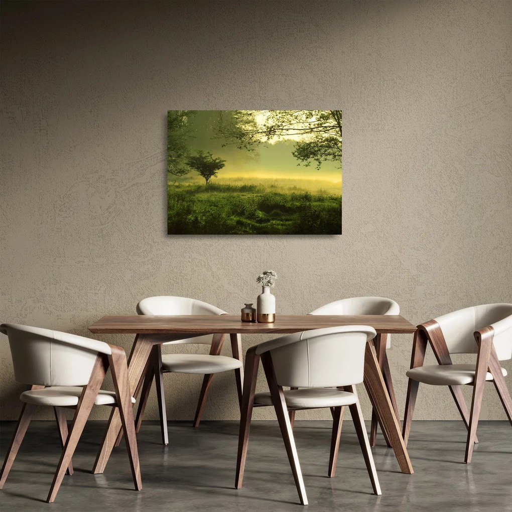Kép - Ébredő erdő (üvegen) (70x50 cm)
