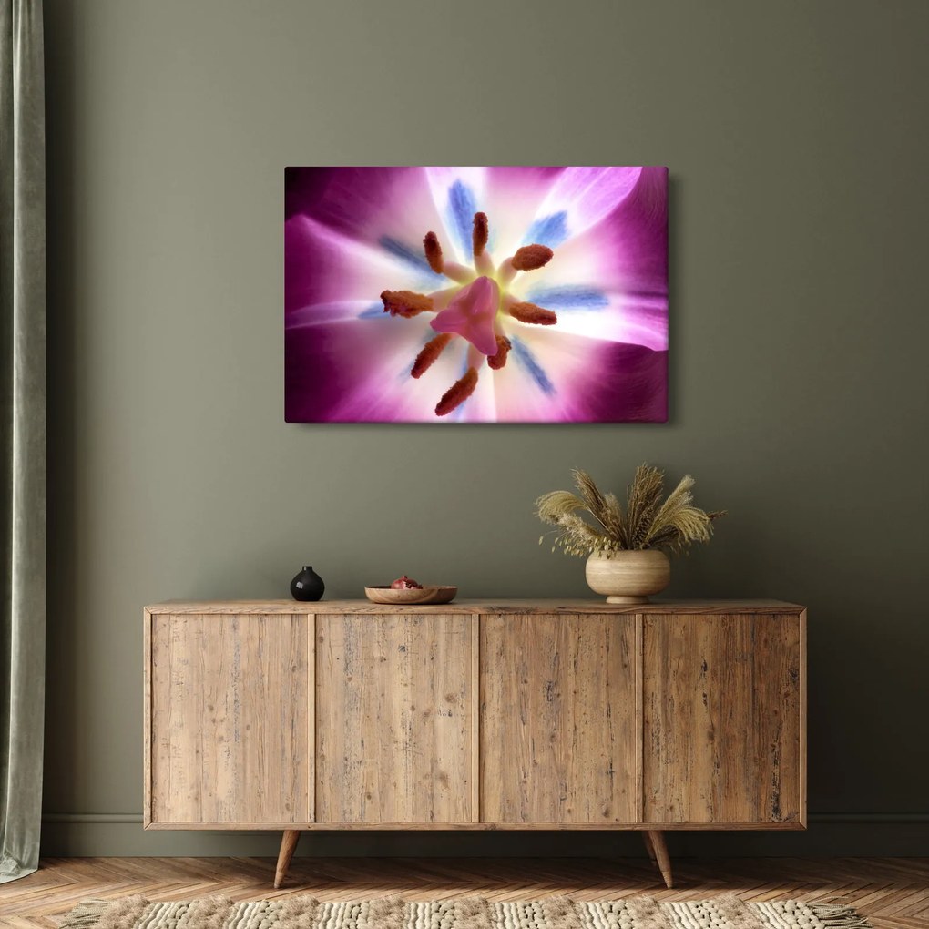 Kép - Tulipán virág részletesen (90x60 cm)