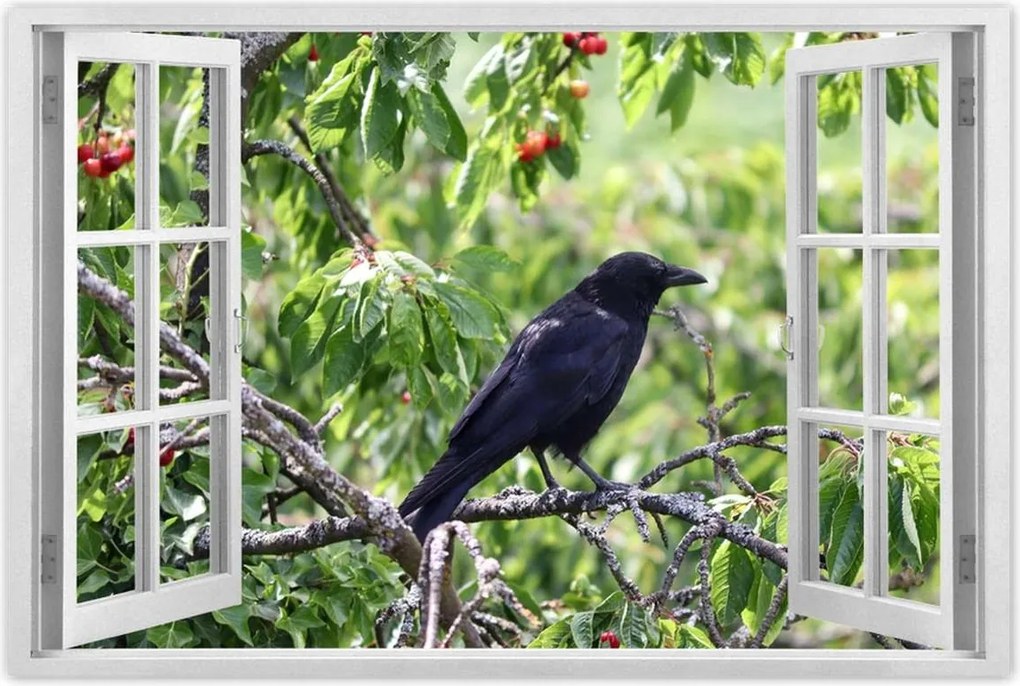 Poszterek 90x60 Madarak