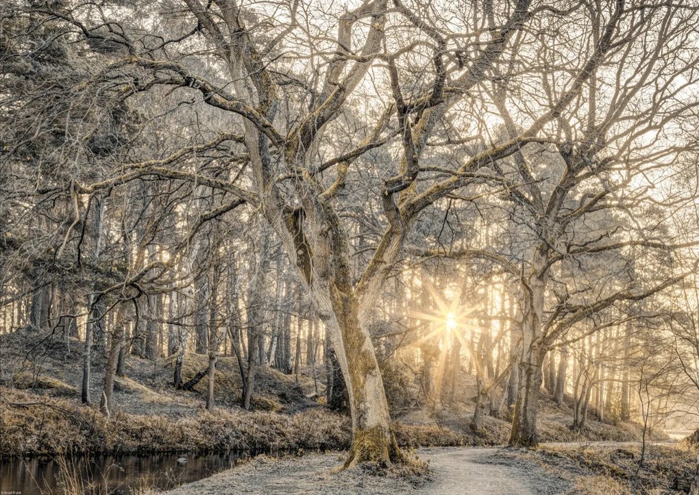Poszter 59,4x42cm Vidéki csatorna fákkal és ösvényrel 2, Assaf Frank