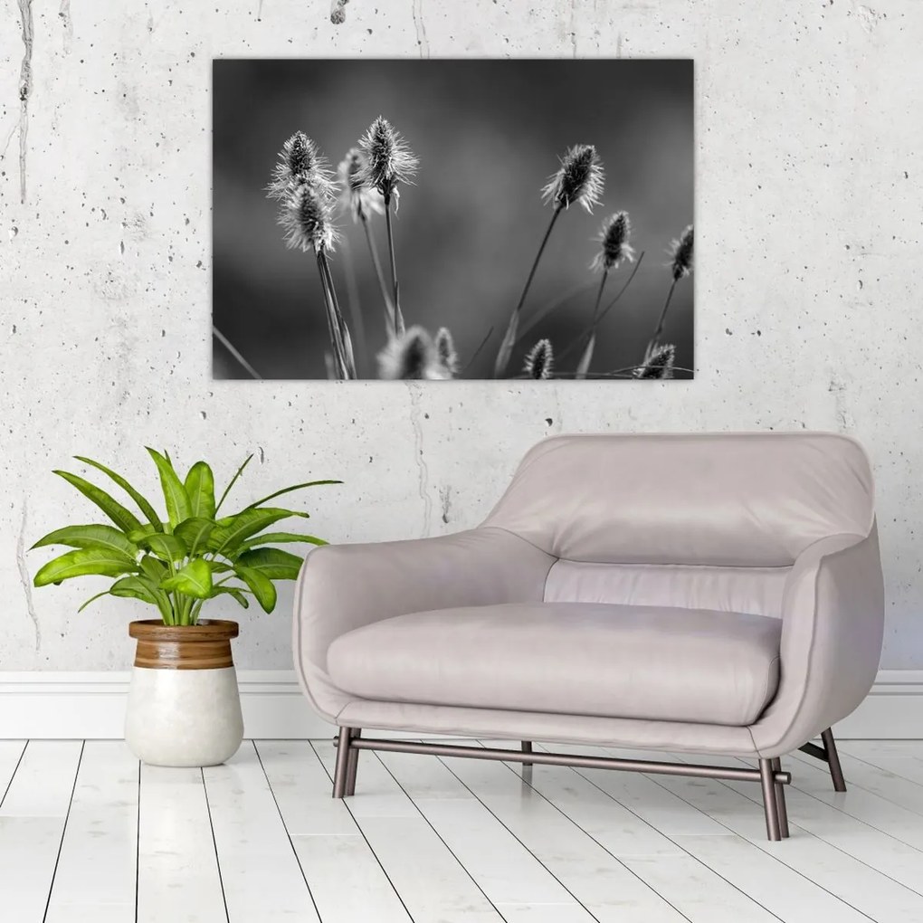 Kép - Bézs színű puha fű N⁰2 (90x60 cm)