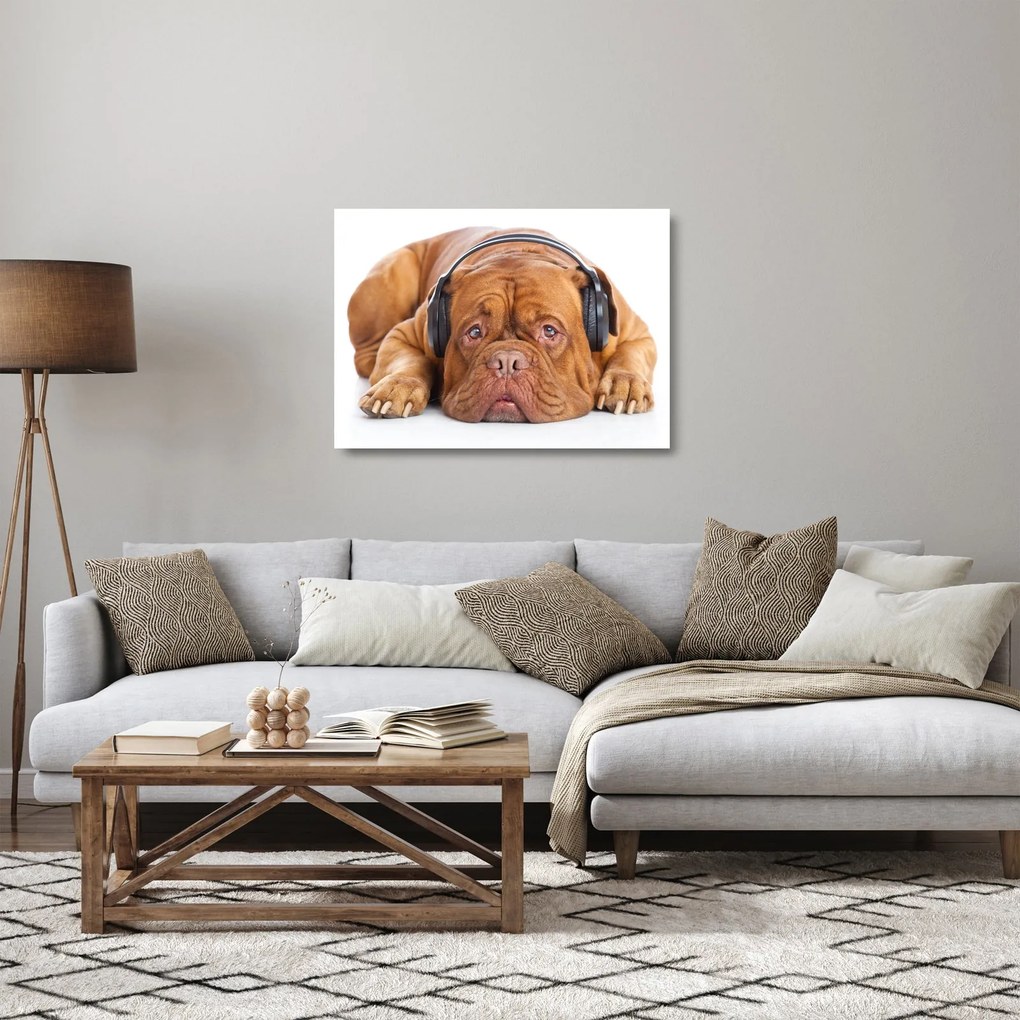 Kép egy kutya fejhallgatóval (üvegen) (70x50 cm)