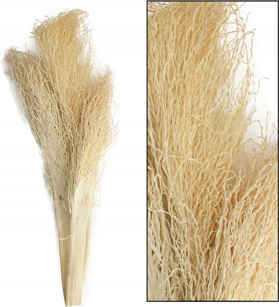 Westwing Szárított pálmalevelek egzotikus aszalvány csokor 3 db kb 35 cm