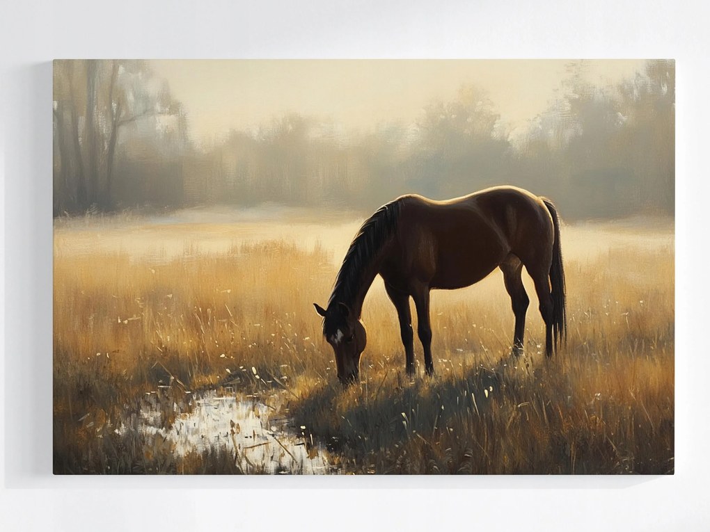 Poszter Tájkép Szabadtéri Rét Ló Gesztenye Reggel Köd 120x80