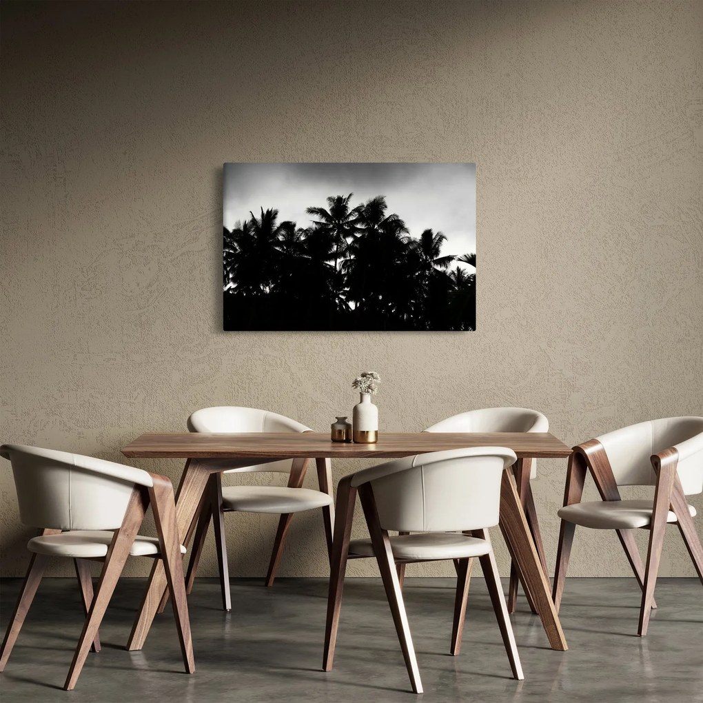 A fekete-fehér pálmafák képe (90x60 cm)
