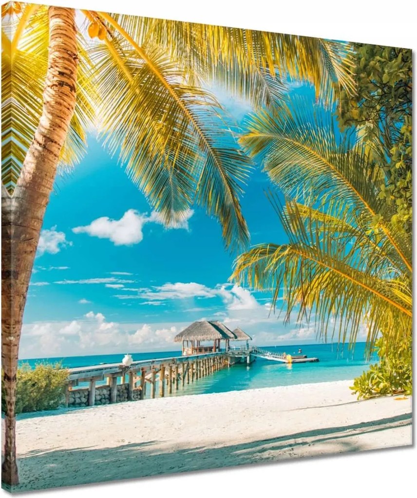 Vászonkép 40x40 Trópusok Tájkép Pálma