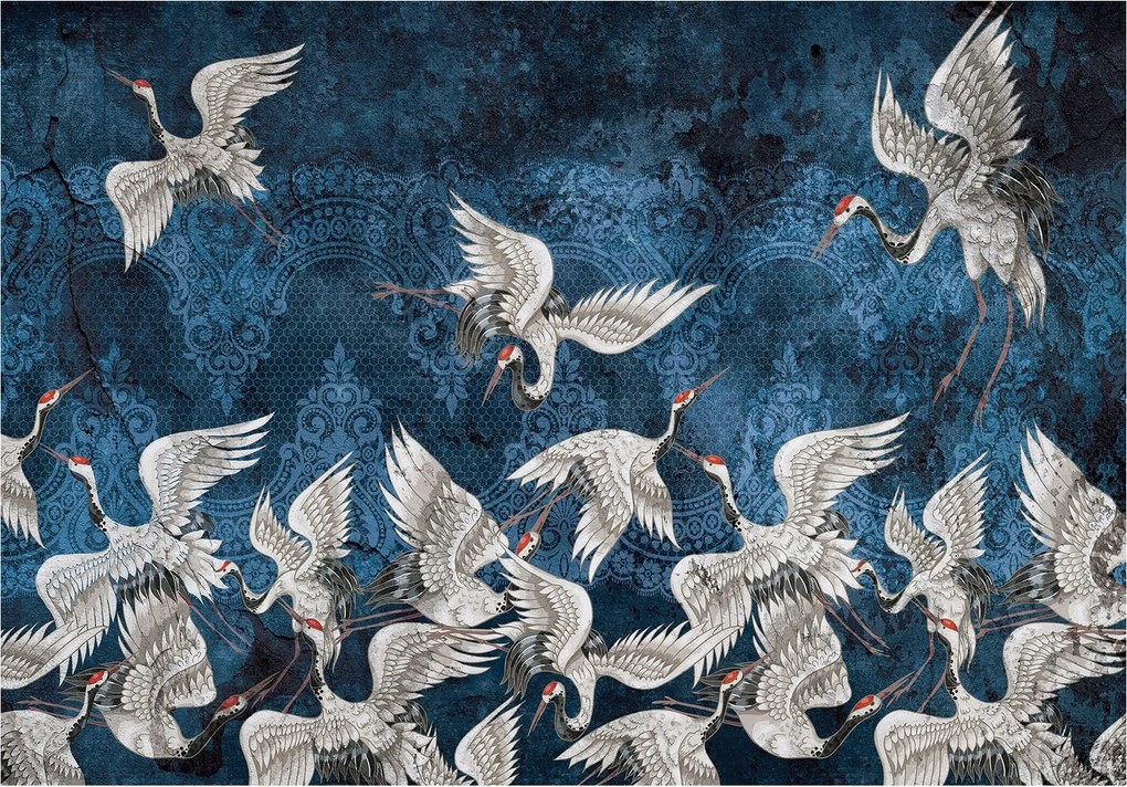 Fotótapéta Darvak repülés közben Grácia és harmónia sötét háttéren 416x254 +ragasztó