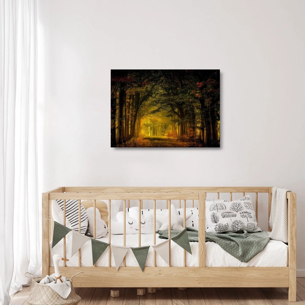 Erdő képe (üvegen) (70x50 cm)