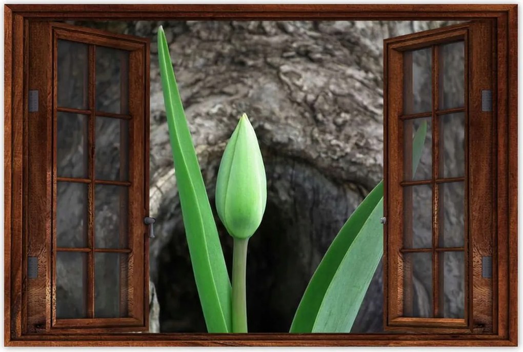 Poszterek 60x40 Zöld tulipán