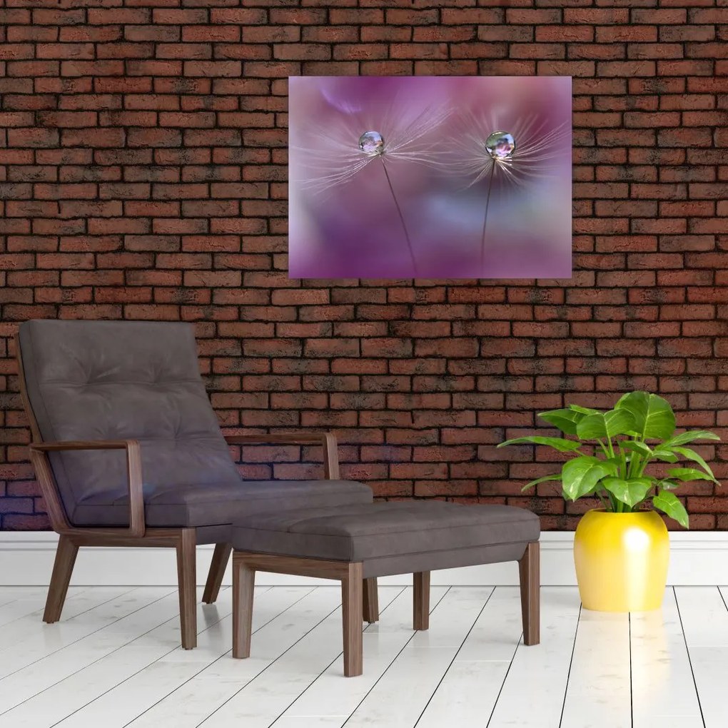 A cseppek képe a bolyhon (üvegen) (70x50 cm)