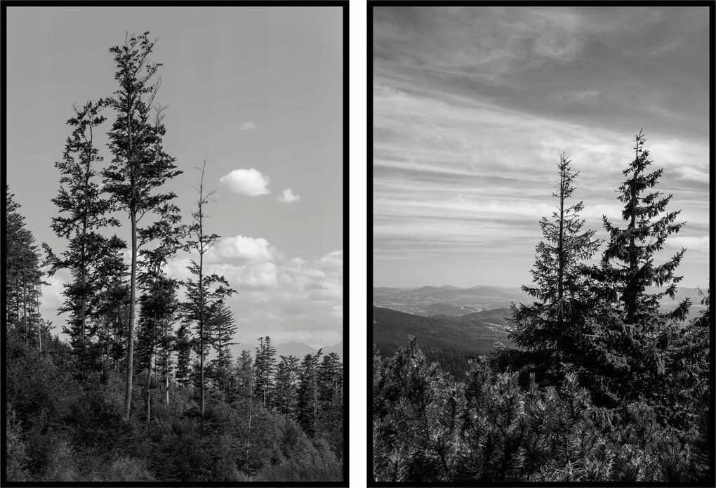 Poszterek diptikus erdő fák táj fekete-fehér poszter falra 15x21cm