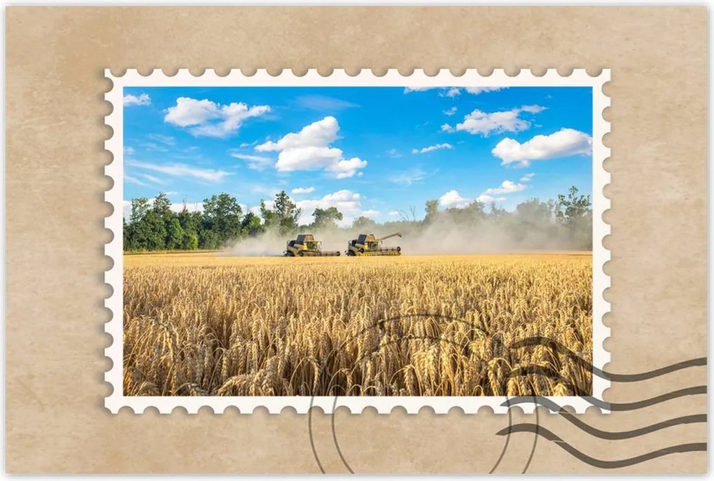 Poszterek 90x60 Két fűnyíró kombájn