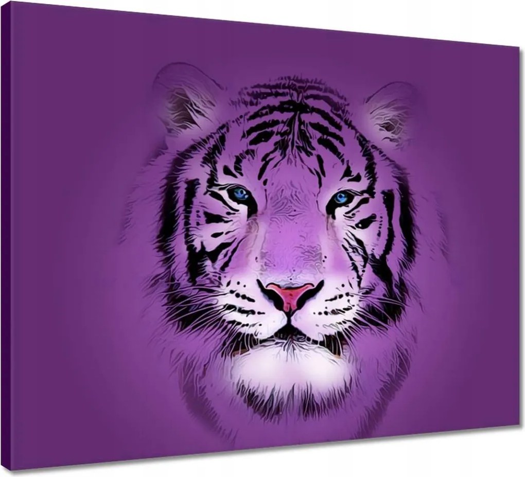 Vászonkép 50x40 Lila tigris kép