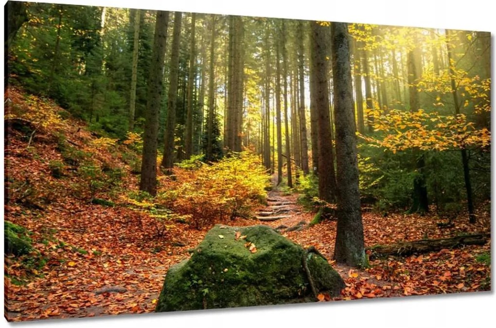 Festmények 120x70 Tájkép