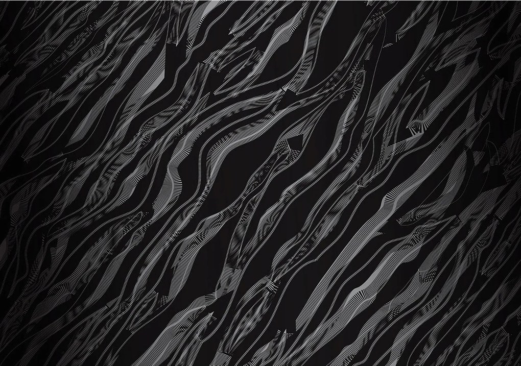 Fotótapéta Absztrakt hullámok sötét minimalizmus fény játék 254x184 +ragasztó