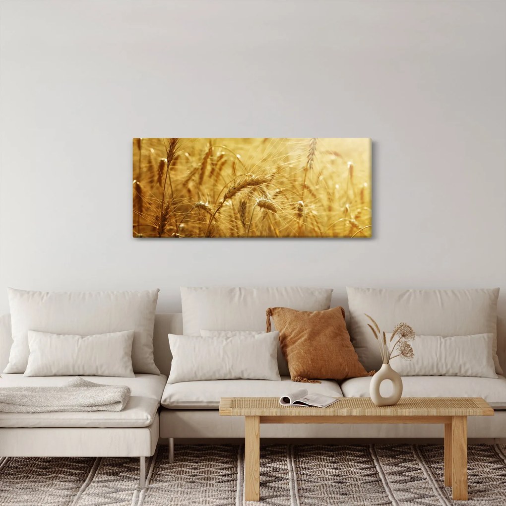 Kép - Gabonafül (120x50 cm)