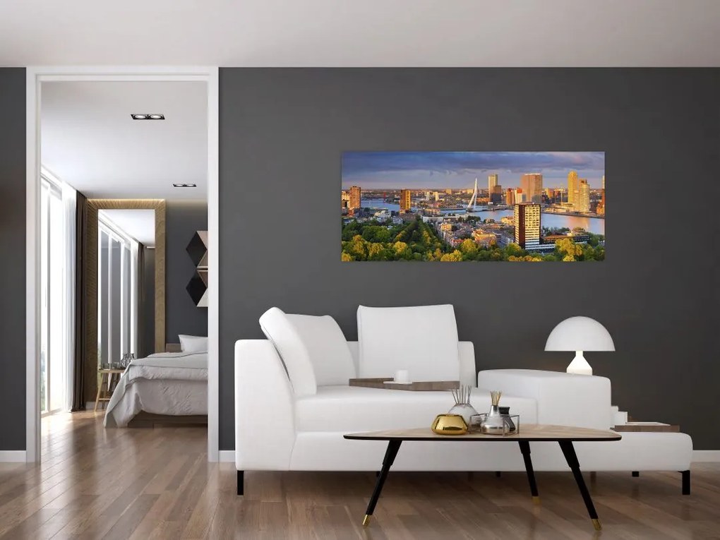 Kép - panoráma Rotterdam, Hollandia (120x50 cm)