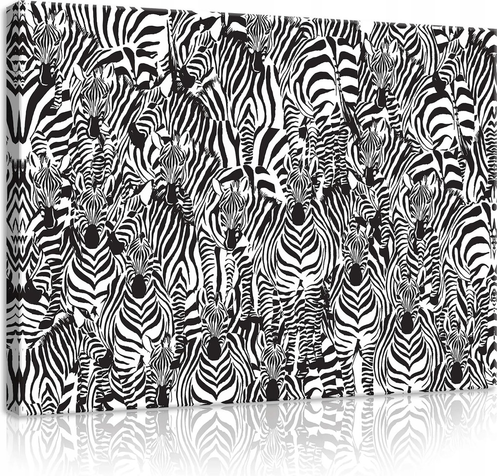 Vászonkép 80x60 Zebra csíkos fekete-fehér vad természet állatok minta kontraszt