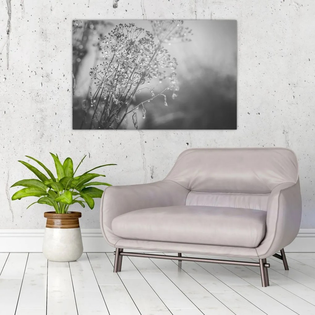 Kép - Mező az eső után (90x60 cm)