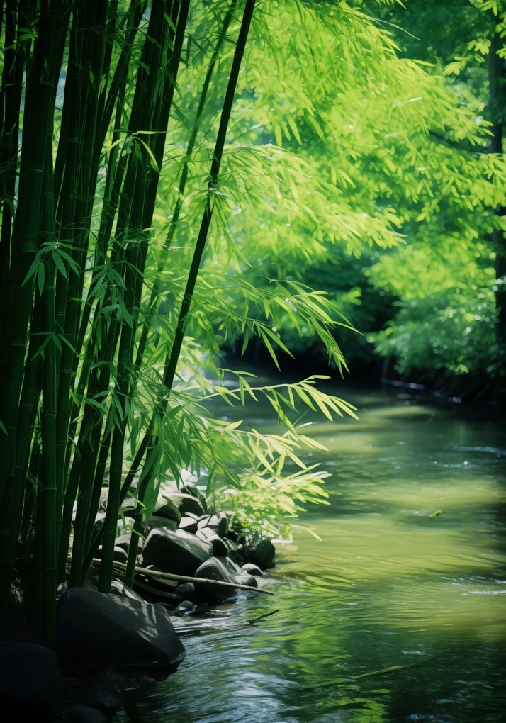 Poszter 70x100cm Bambusz nyugalom