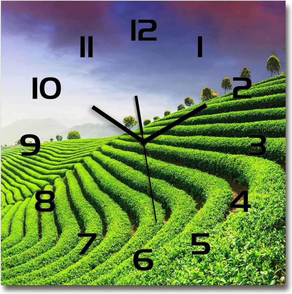 Modern üveg falióra Teaültetvény 60x60cm