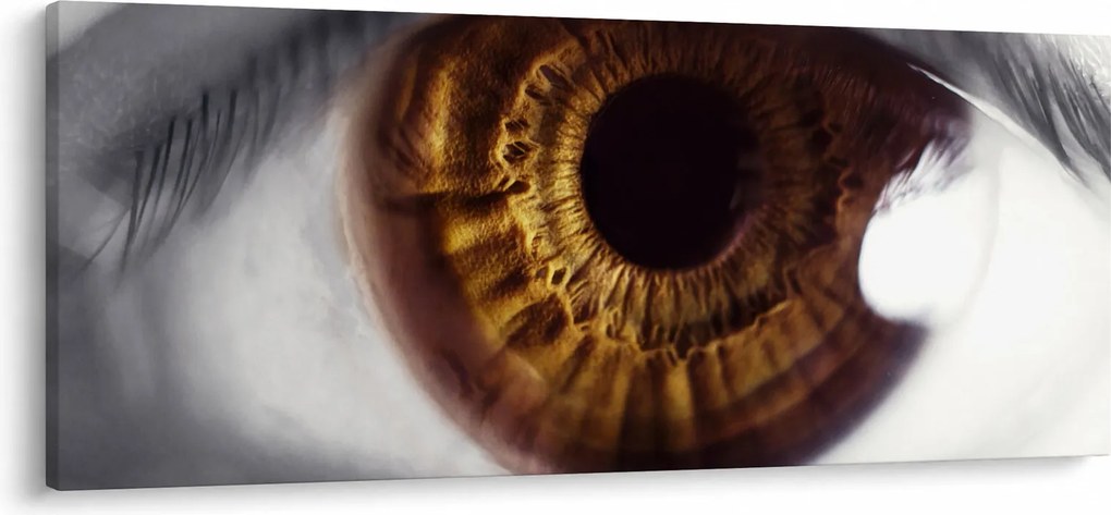 Kép - Szem (120x50 cm)