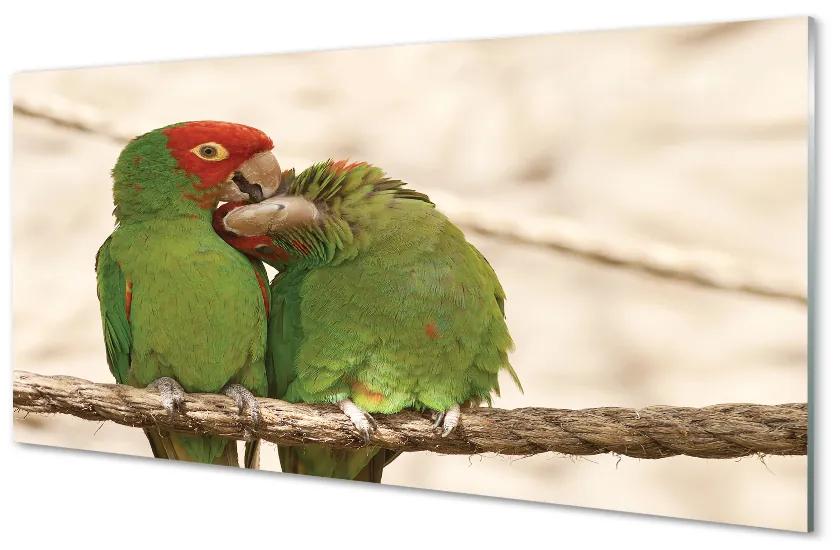 Akrilképek zöld papagájok 140x70 cm