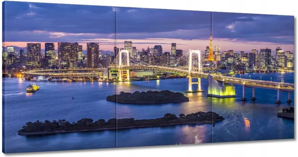 Vászonkép 60x30 Szivárványhíd Tokióban