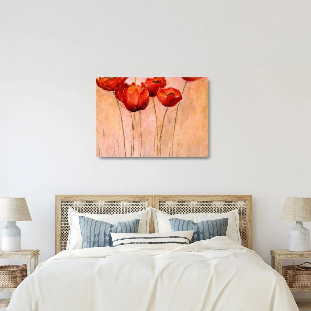 Kép - piros tulipán (üvegen) (70x50 cm)