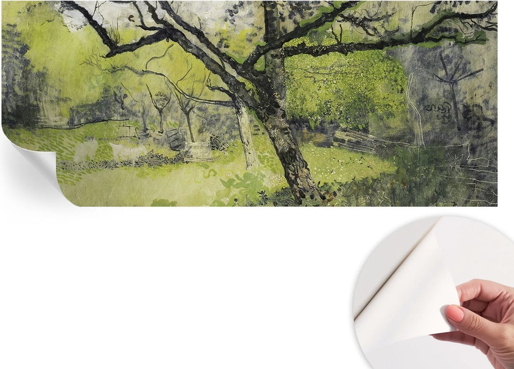 Dekoratív öntapadós fotótapéta irodába Tavaszi park 250x104 cm