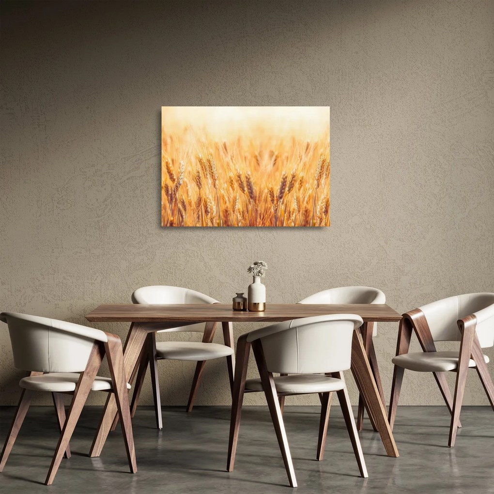 Kép - mező gabonával (üvegen) (70x50 cm)