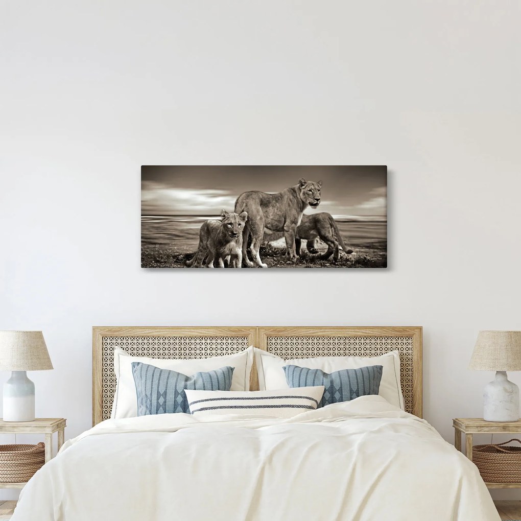 Fekete fehér tigris képe (120x50 cm)