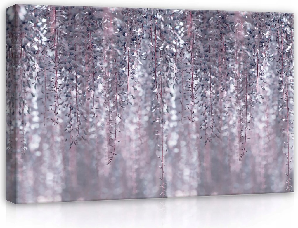 Vászonkép 60x40 Glicin virágok finom pasztell álmodozó nyugalom tavasz