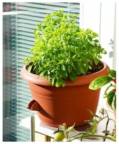Plastia Siesta önöntöző kültéri virágtartó, 25 cm terrakotta, 25 cm átmérőjű