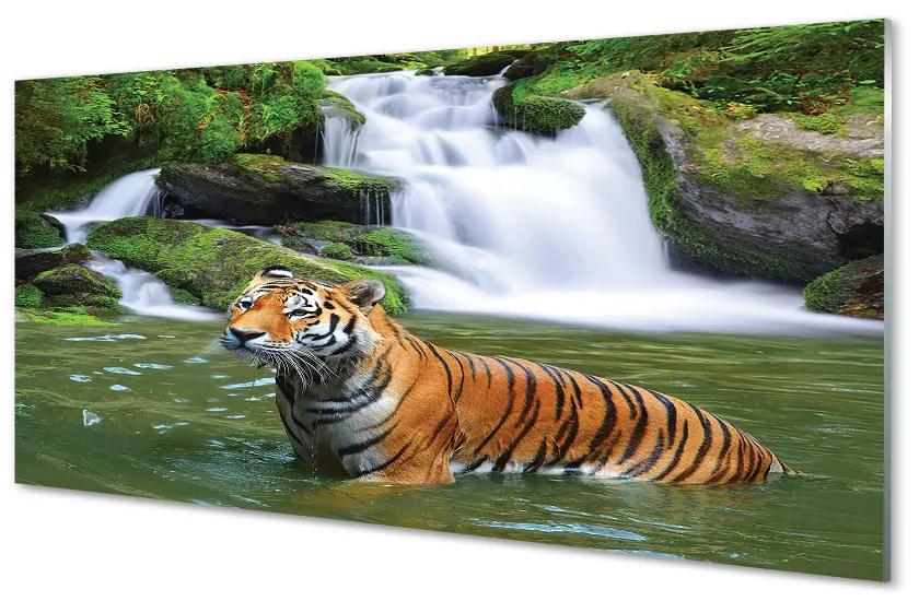 Akrilképek tigris vízesés 120x60 cm