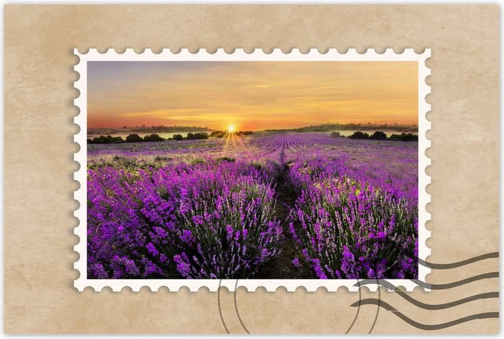 Poszterek 120x80 Levendula naplemente