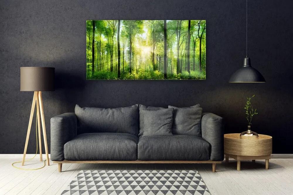 Modern üvegkép Természet Erdei fák 120x60cm