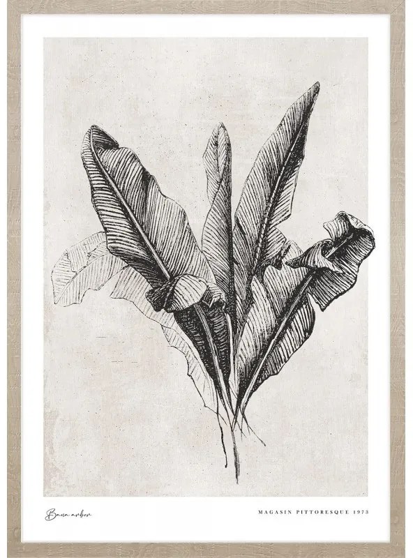 Banana leaves kép