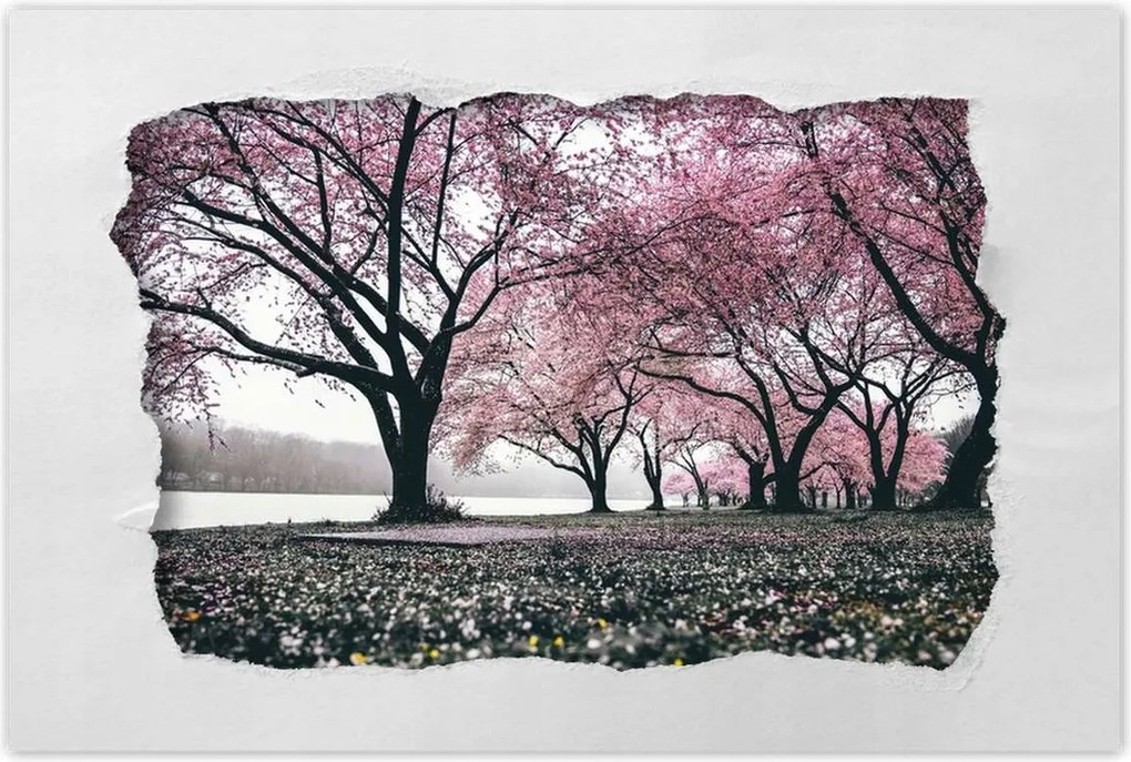 Poszterek 120x80 Fa Fák Kilátás