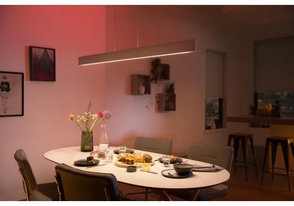 Philips 40903/31/P9-LED RGBW Dimmelhető csillár zsinóron Hue ENSIS 2xLED/39W/230V